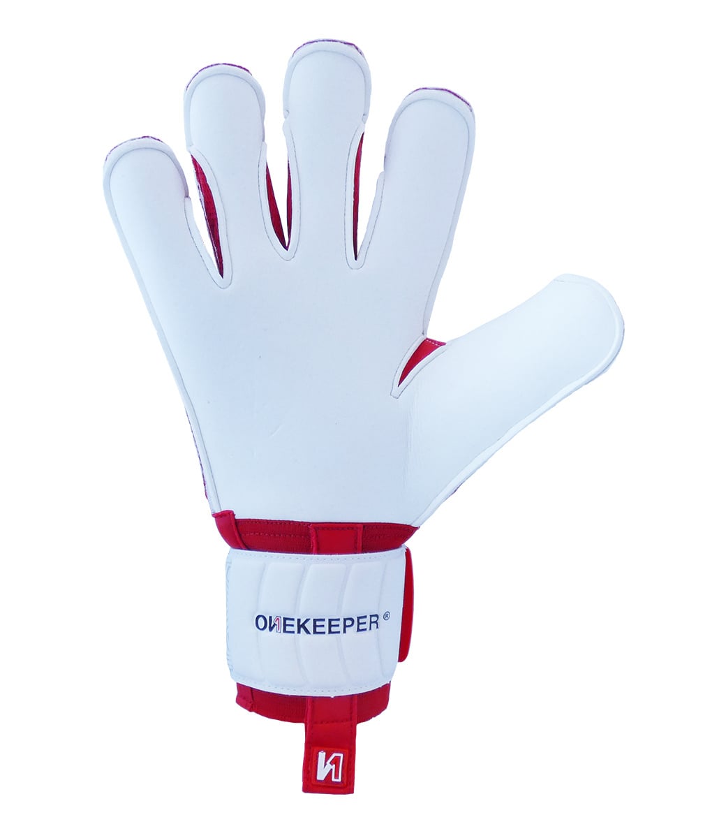 ONEKEEPER Vector